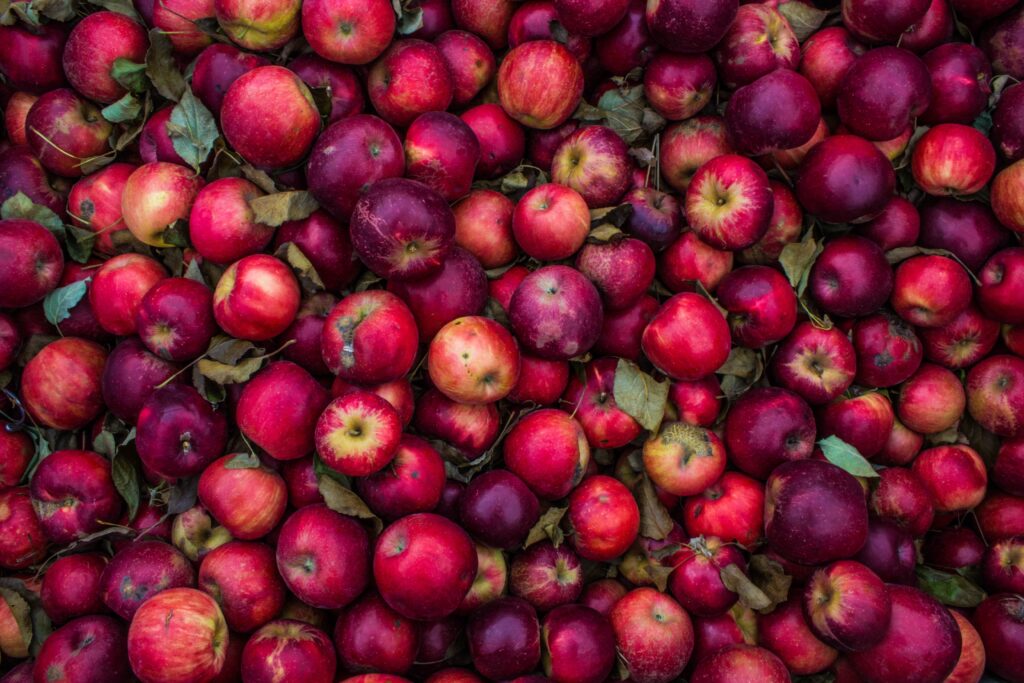 Cider apples Ireland