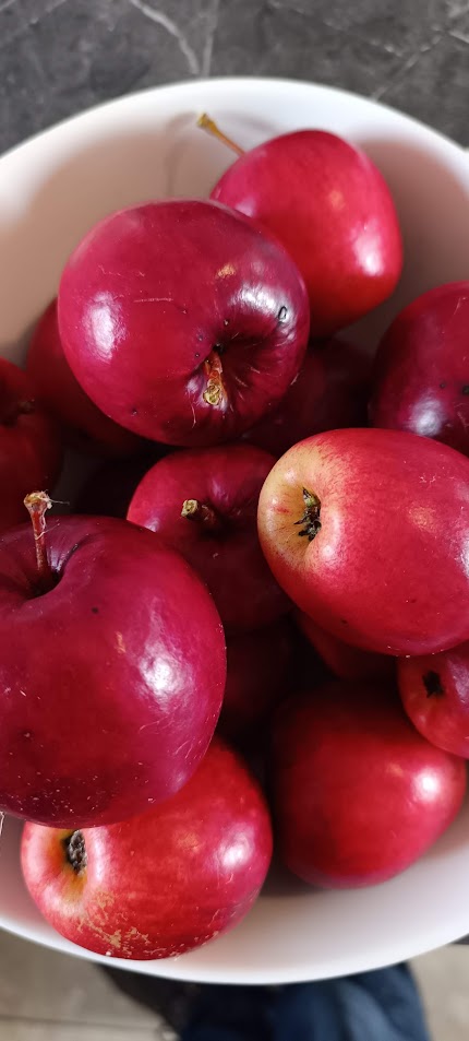 Katy Cider Juicing Apples Ireland